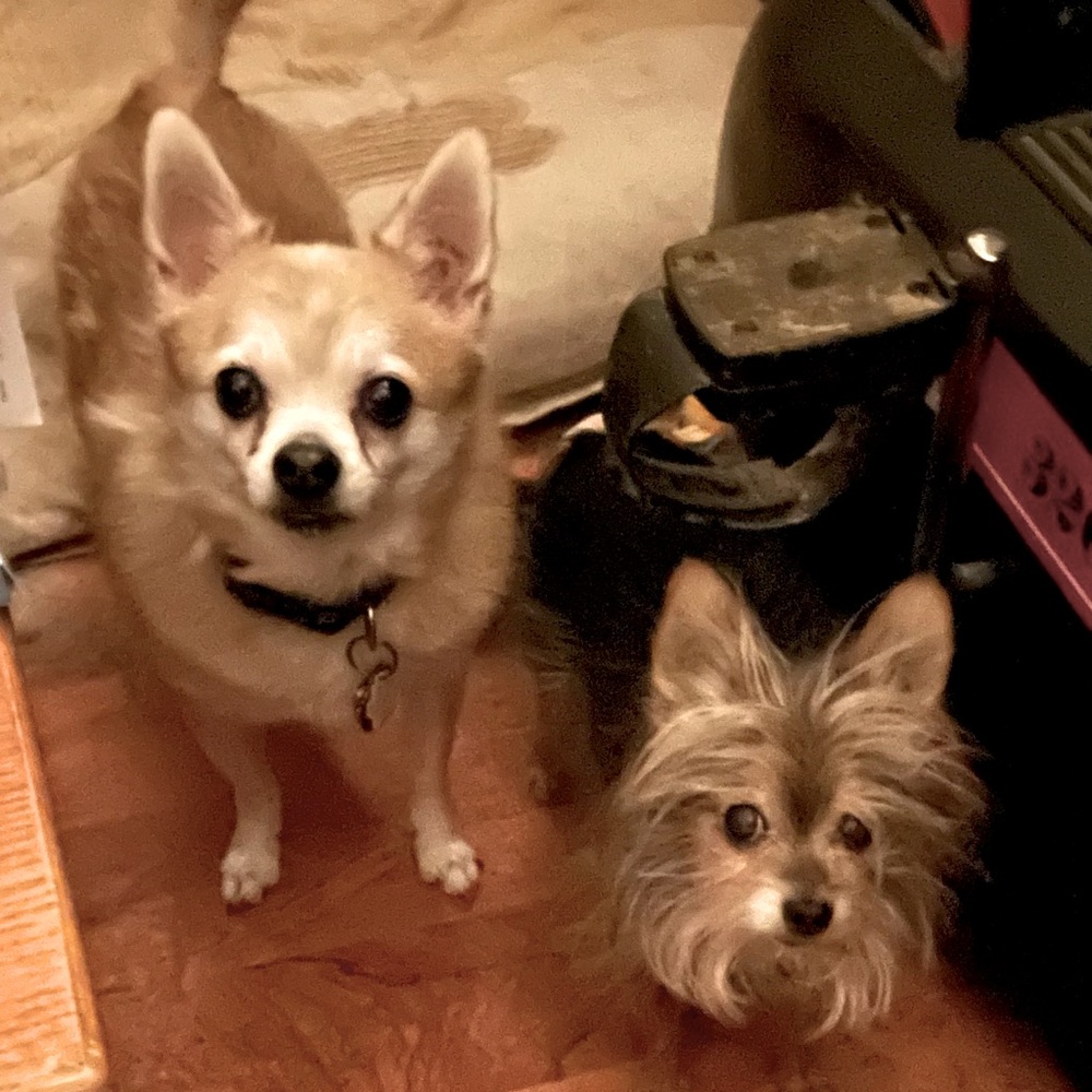 Meet your Posher, Patricia